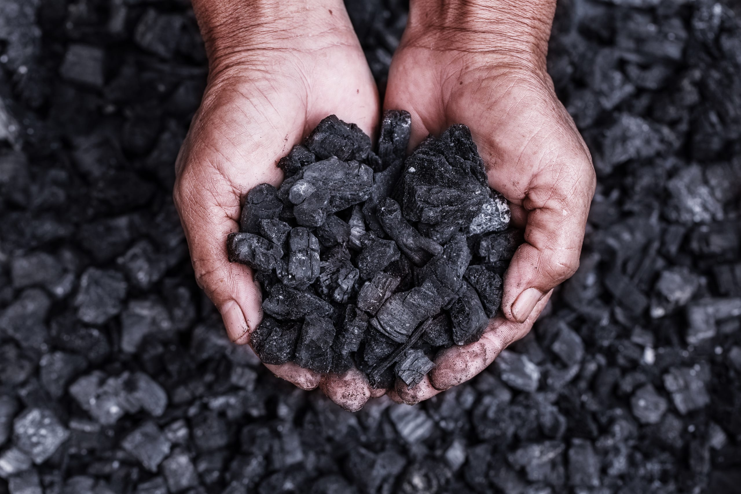 AGROCHAR Premium Biochar