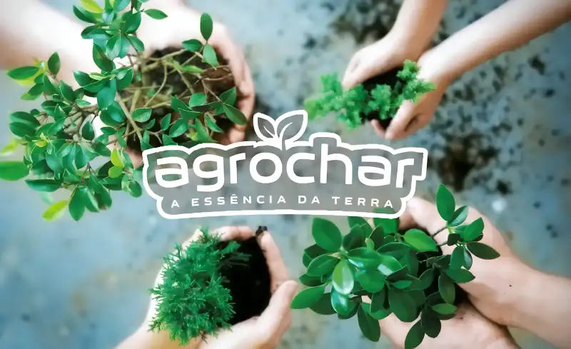 Application of Agrochar in fields